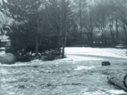 FVU - Lochkamera 2006